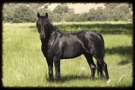 IMG 3023%20linksky.jpg.opt450x300o0,0s450x300[1]